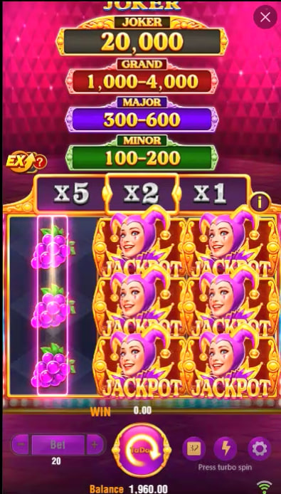 ivibet