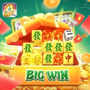 Ricobet com