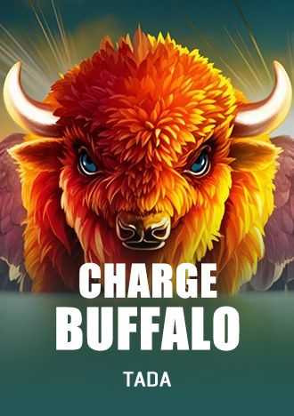 Bet3333.com